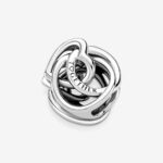 Pandora Family Always Encircled Heart Charm 791507C00
